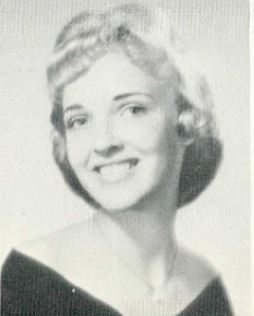 Cynthia Sue Scotchler